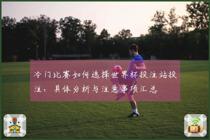 冷门比赛如何选择世界杯投注站投注，具体分析与注意事项汇总