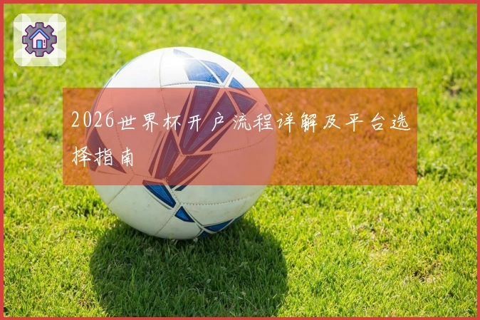 2026世界杯开户流程详解及平台选择指南