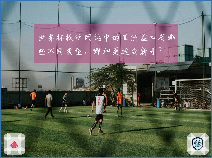 世界杯投注网站中的亚洲盘口有哪些不同类型，哪种更适合新手？