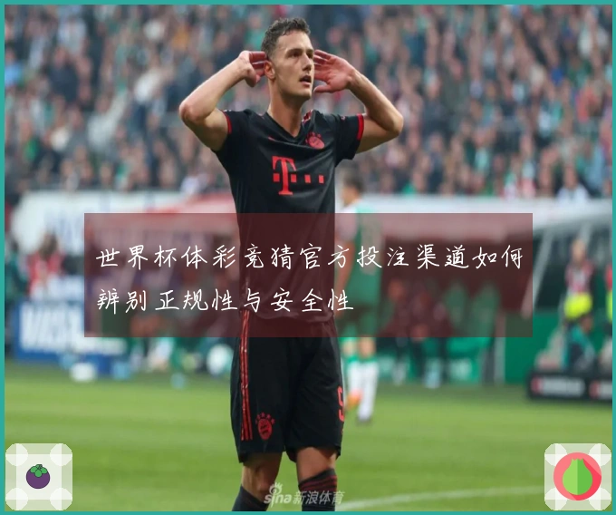 世界杯体彩竞猜官方投注渠道如何辨别正规性与安全性