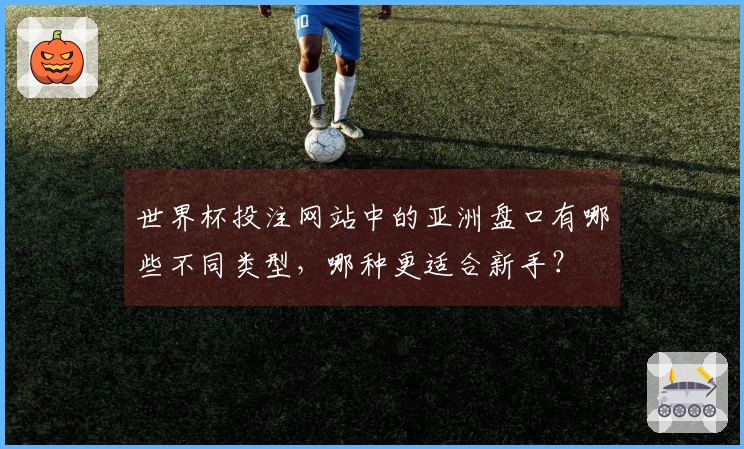 世界杯投注网站中的亚洲盘口有哪些不同类型，哪种更适合新手？