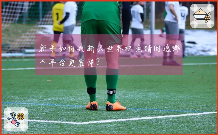新手如何判断买世界杯竞猜时选哪个平台更靠谱？