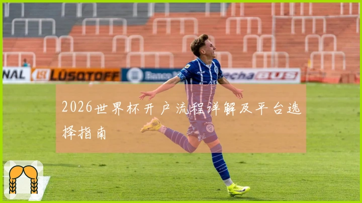 2026世界杯开户流程详解及平台选择指南